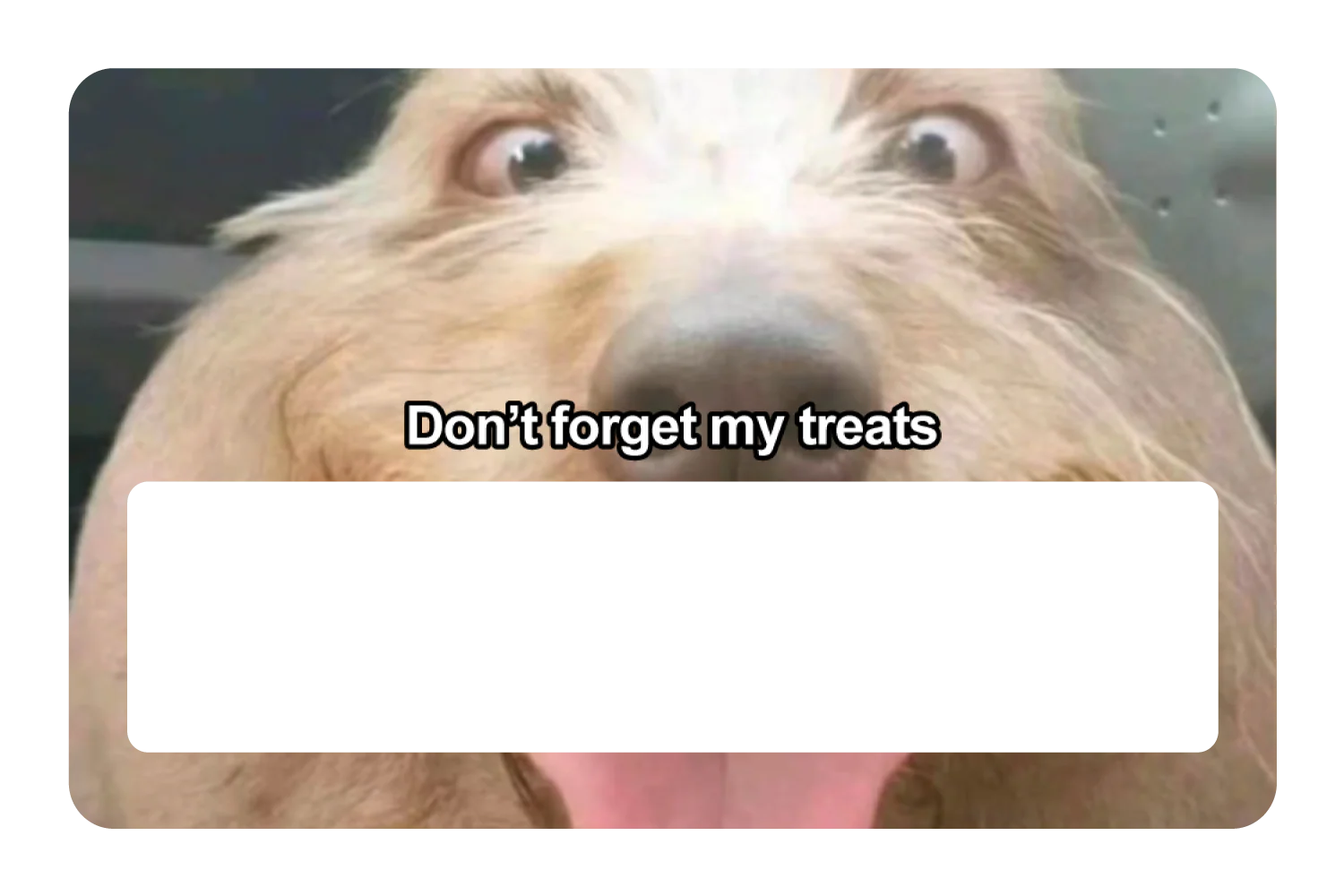 Don't Forget My Treats - Image 6