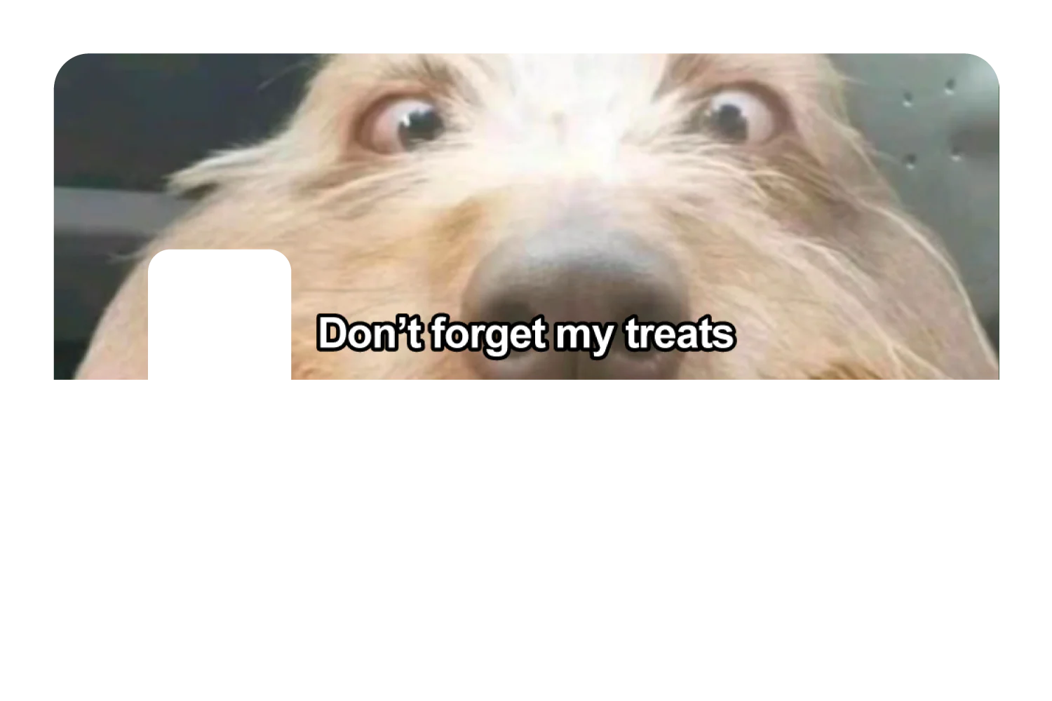 Don't Forget My Treats - Image 7