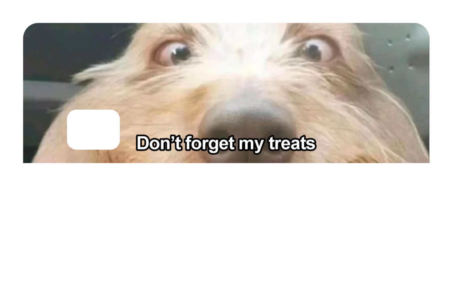 Don't Forget My Treats - Image 8