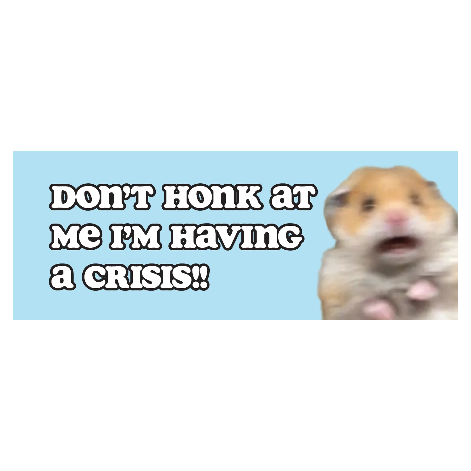 Don't Honk at Me I'm Having A Crisis