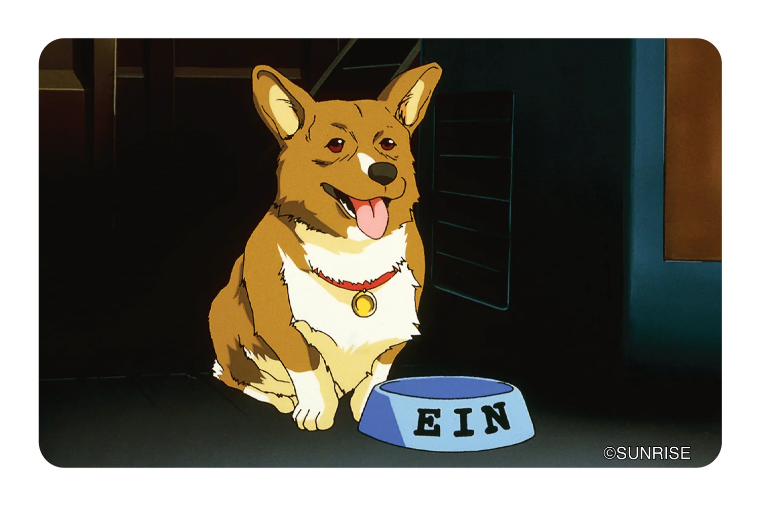 Ein wants food