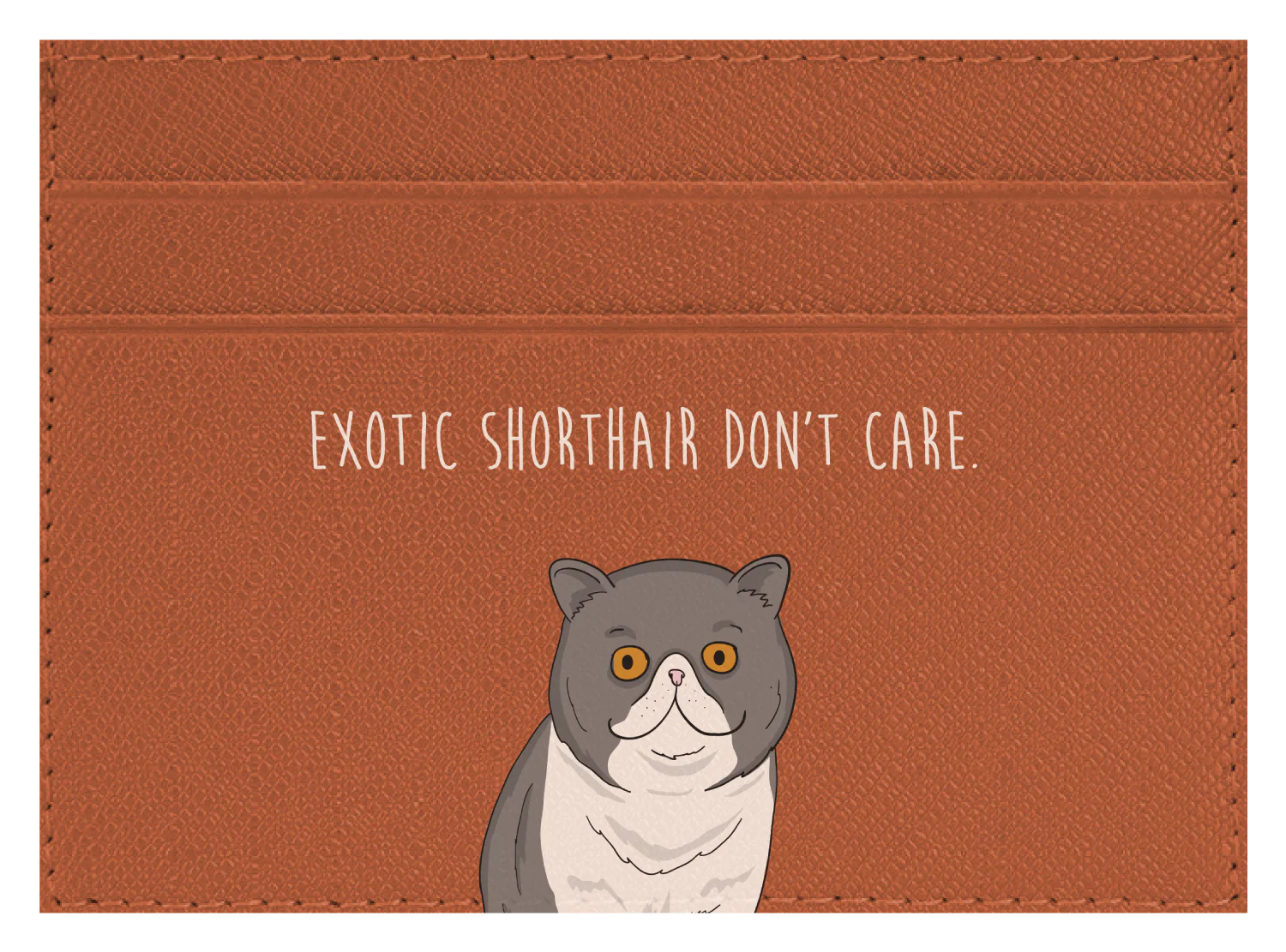 Exotic Shorthair don't care - Image 2