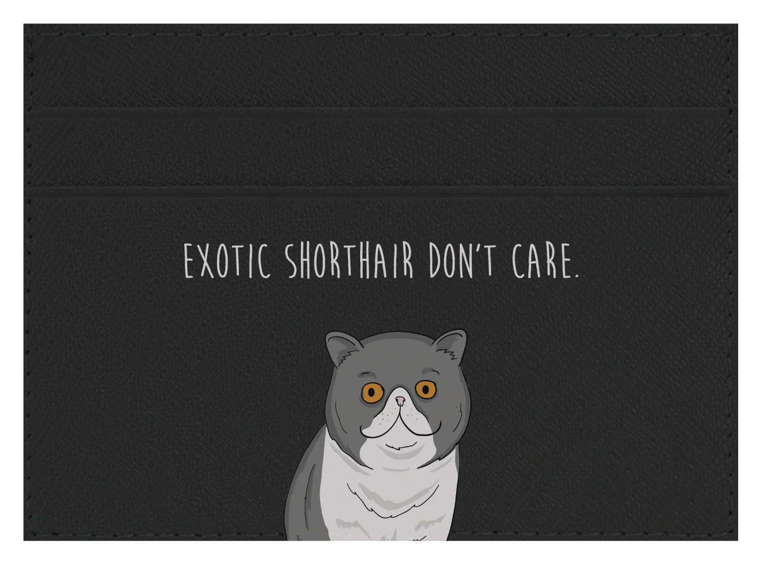 Exotic Shorthair don't care - Image 3