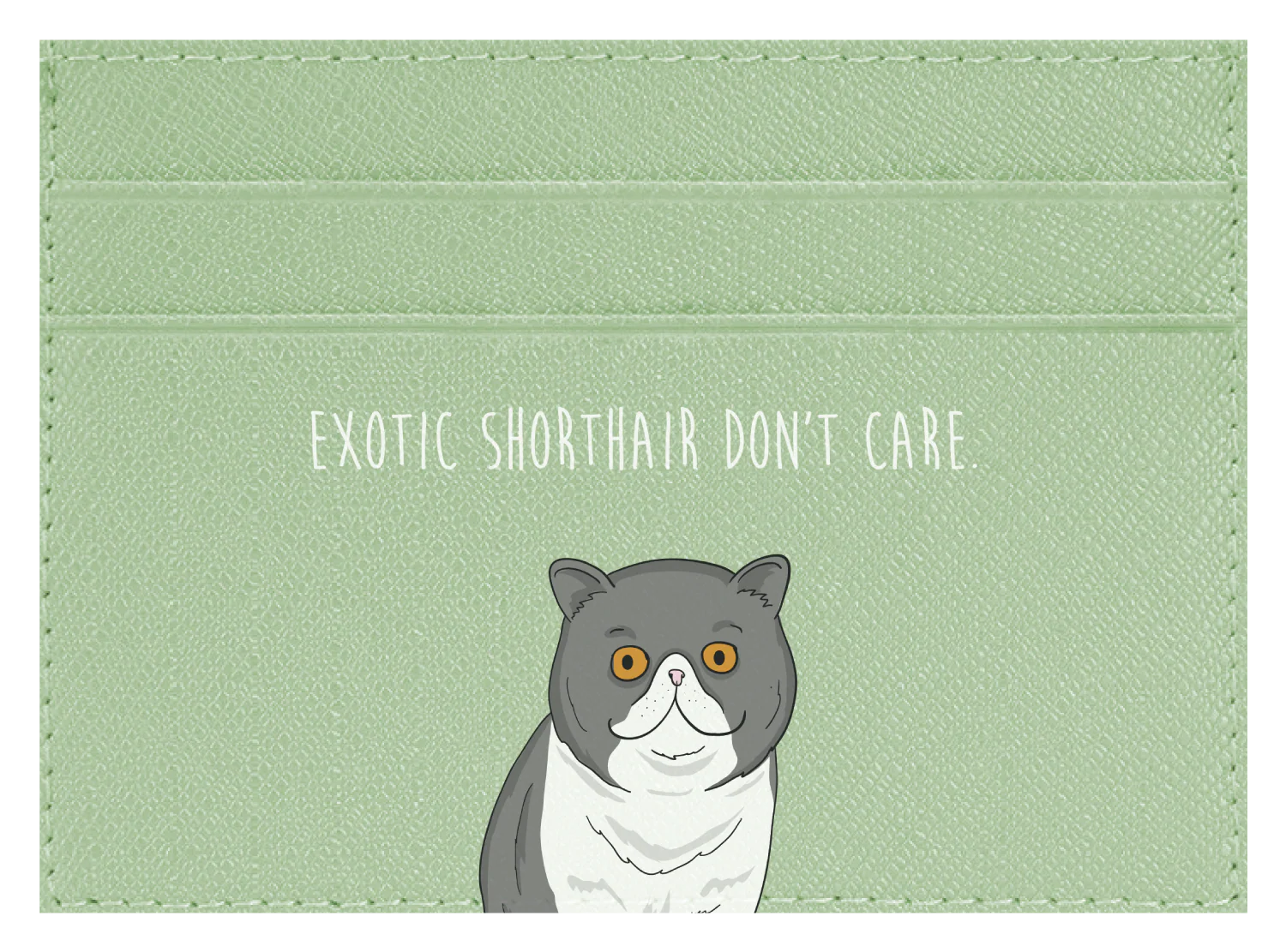 Exotic Shorthair don't care - Image 4
