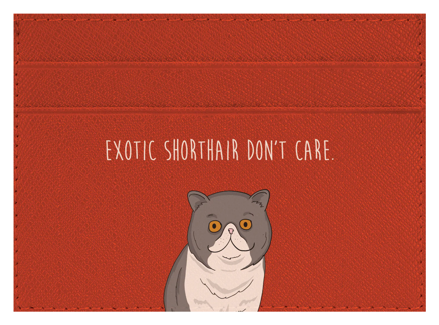 Exotic Shorthair don't care - Image 5