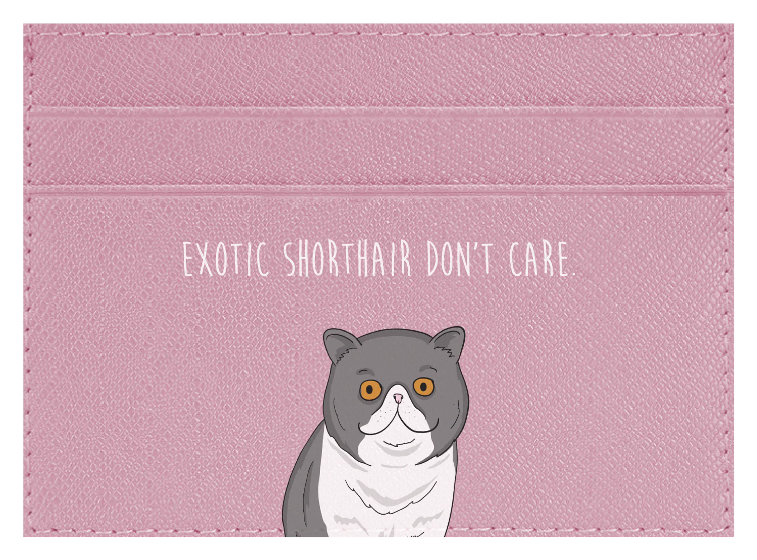 Exotic Shorthair don't care - Image 6
