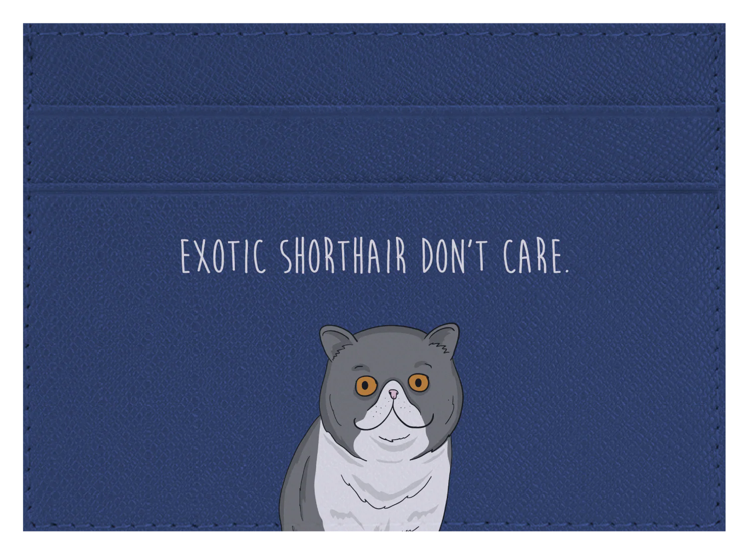 Exotic Shorthair don't care - Image 7