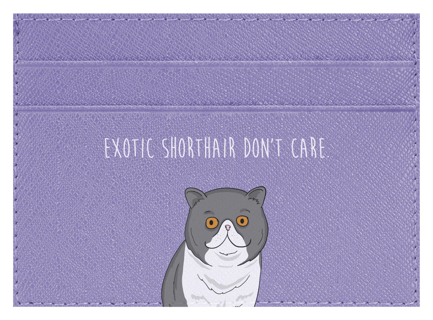 Exotic Shorthair don't care - Image 8