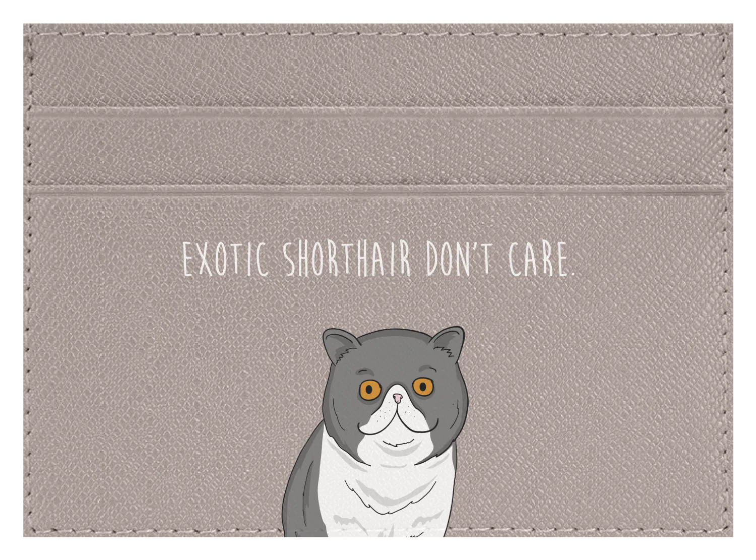 Exotic Shorthair don't care - Image 9