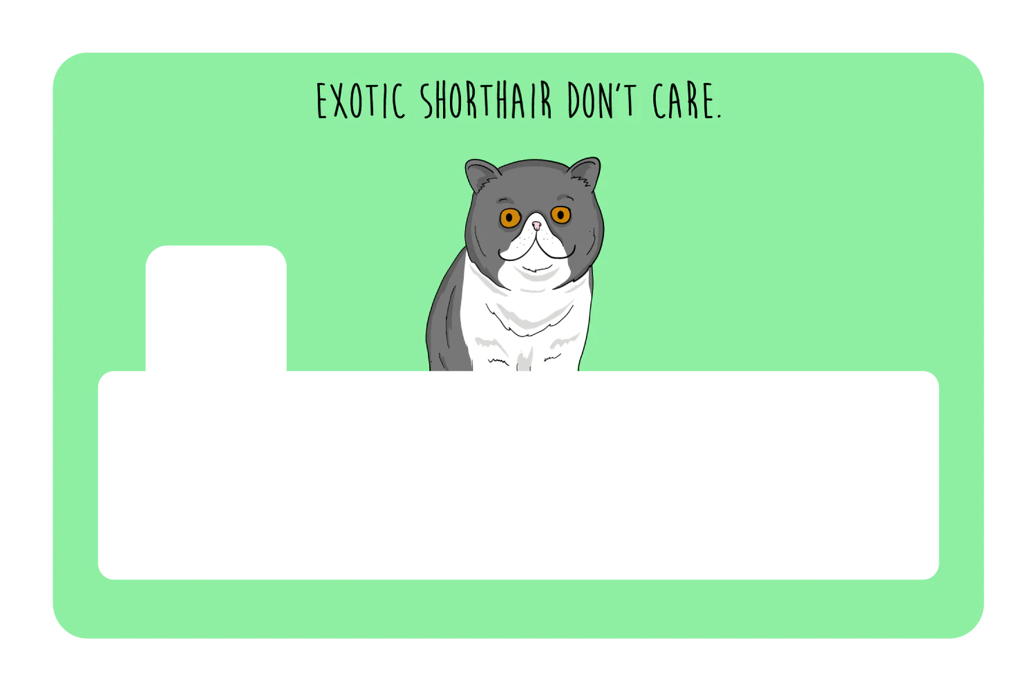 Exotic Shorthair don't care - Image 4