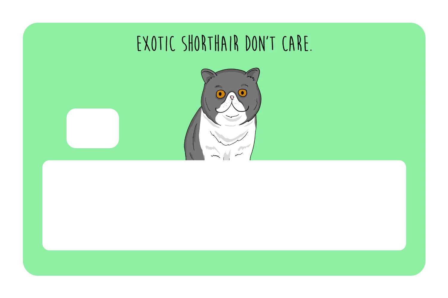 Exotic Shorthair don't care - Image 5