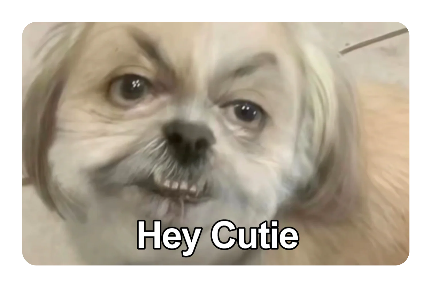 Hey Cutie