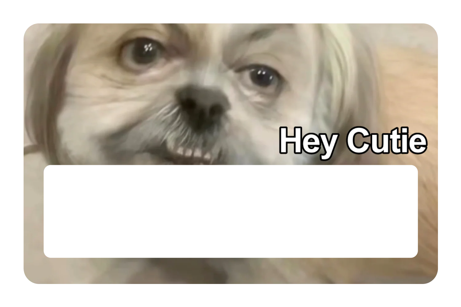 Hey Cutie - Image 6