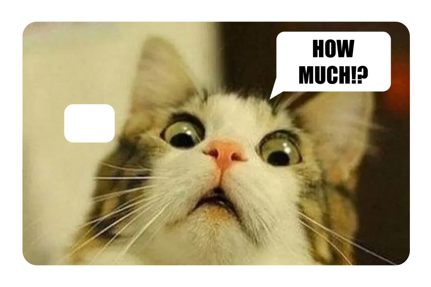 How Much!? - Image 2