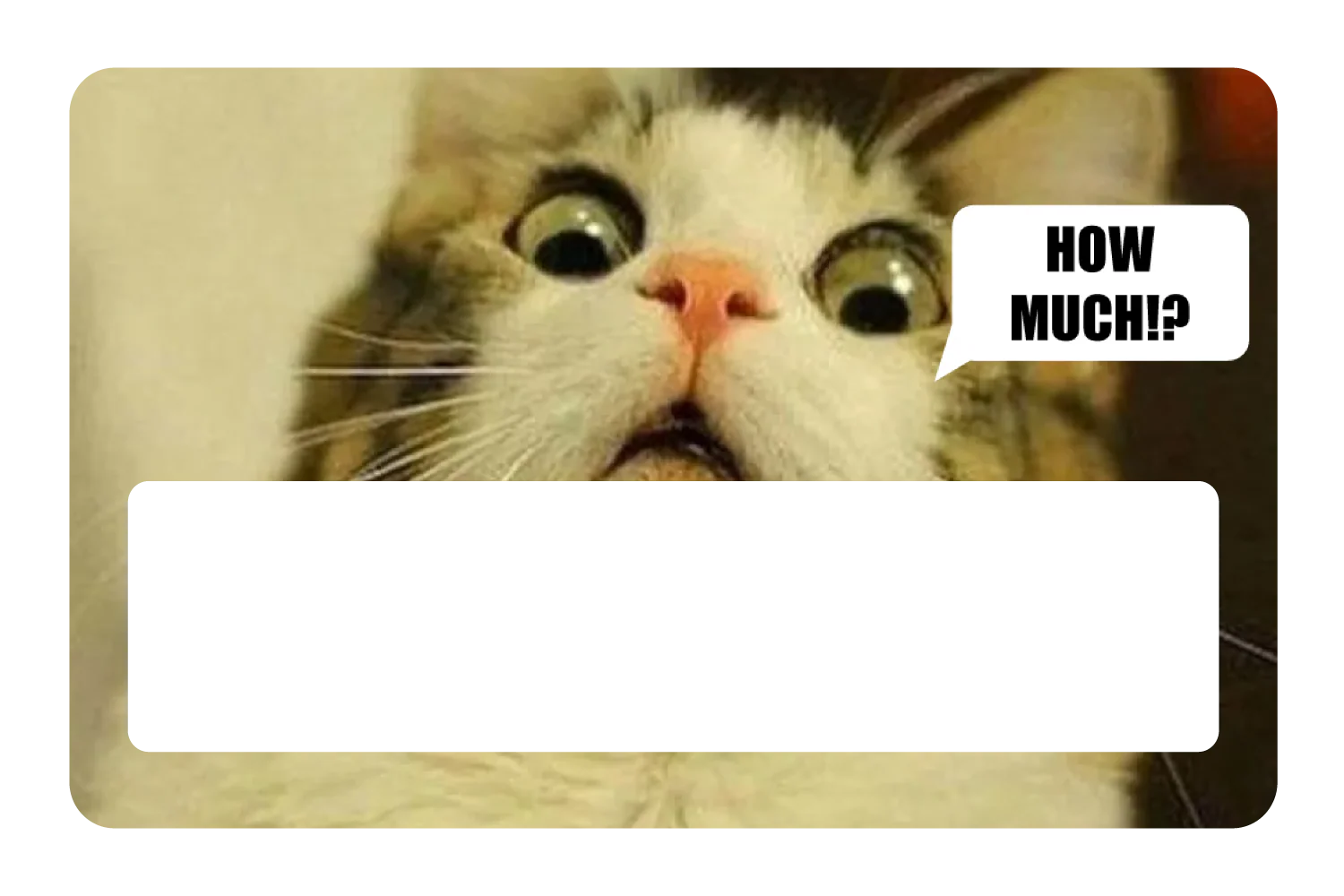 How Much!? - Image 6