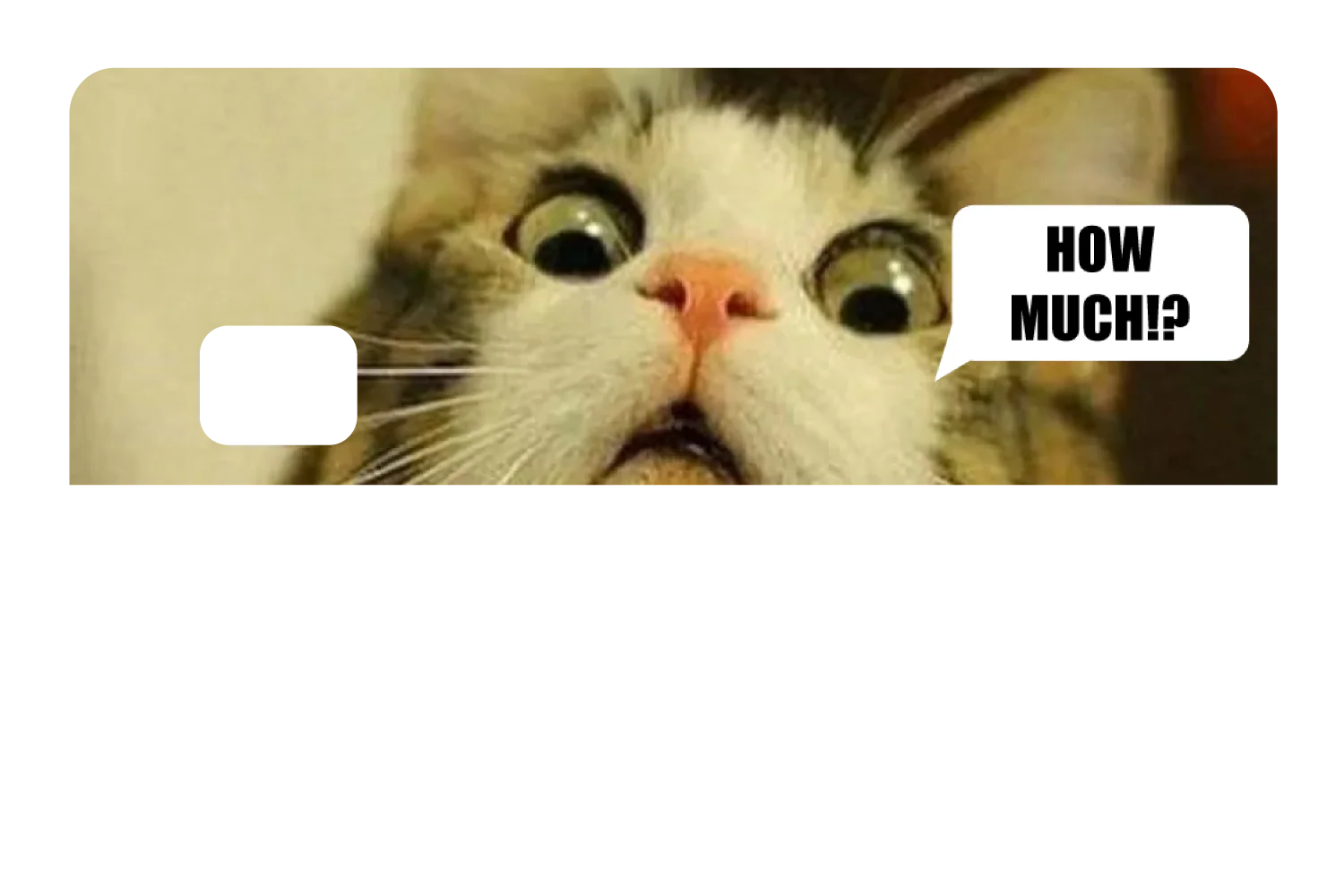 How Much!? - Image 8