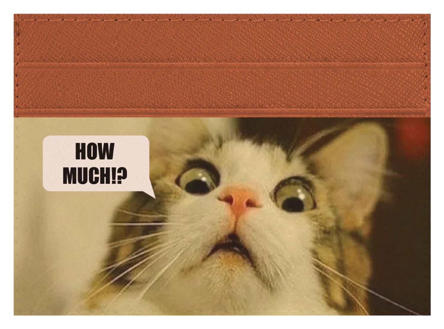 How Much? - Image 3