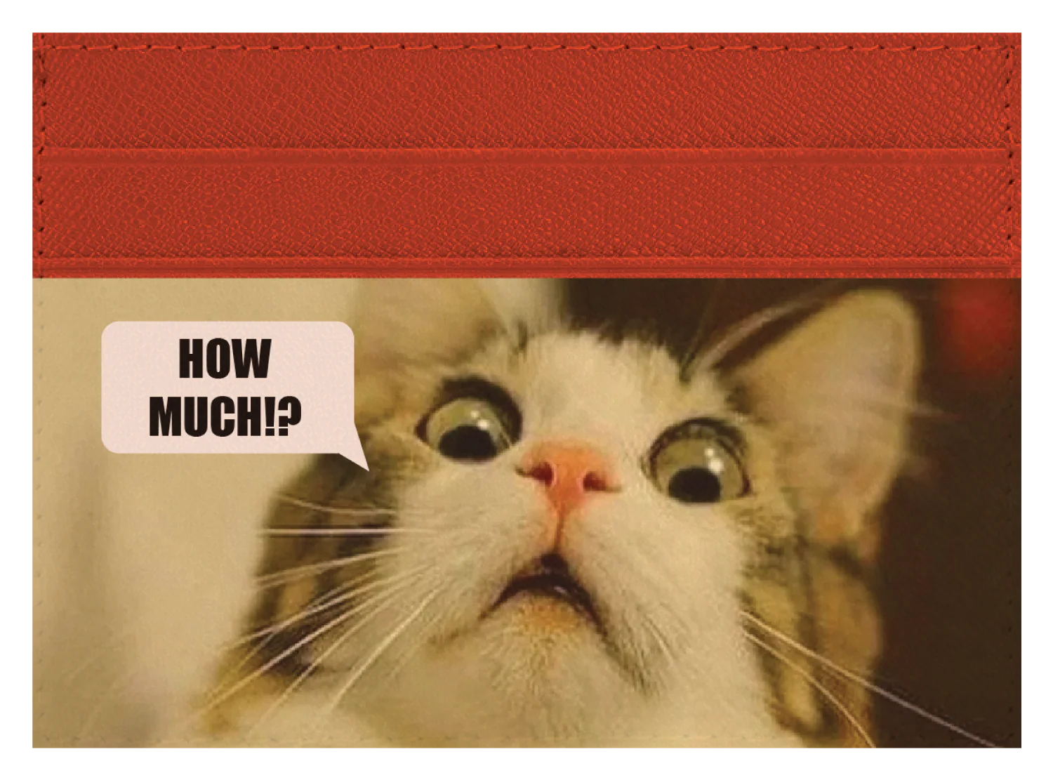 How Much? - Image 7