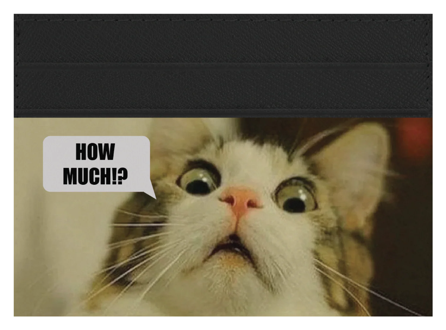 How Much? - Image 9