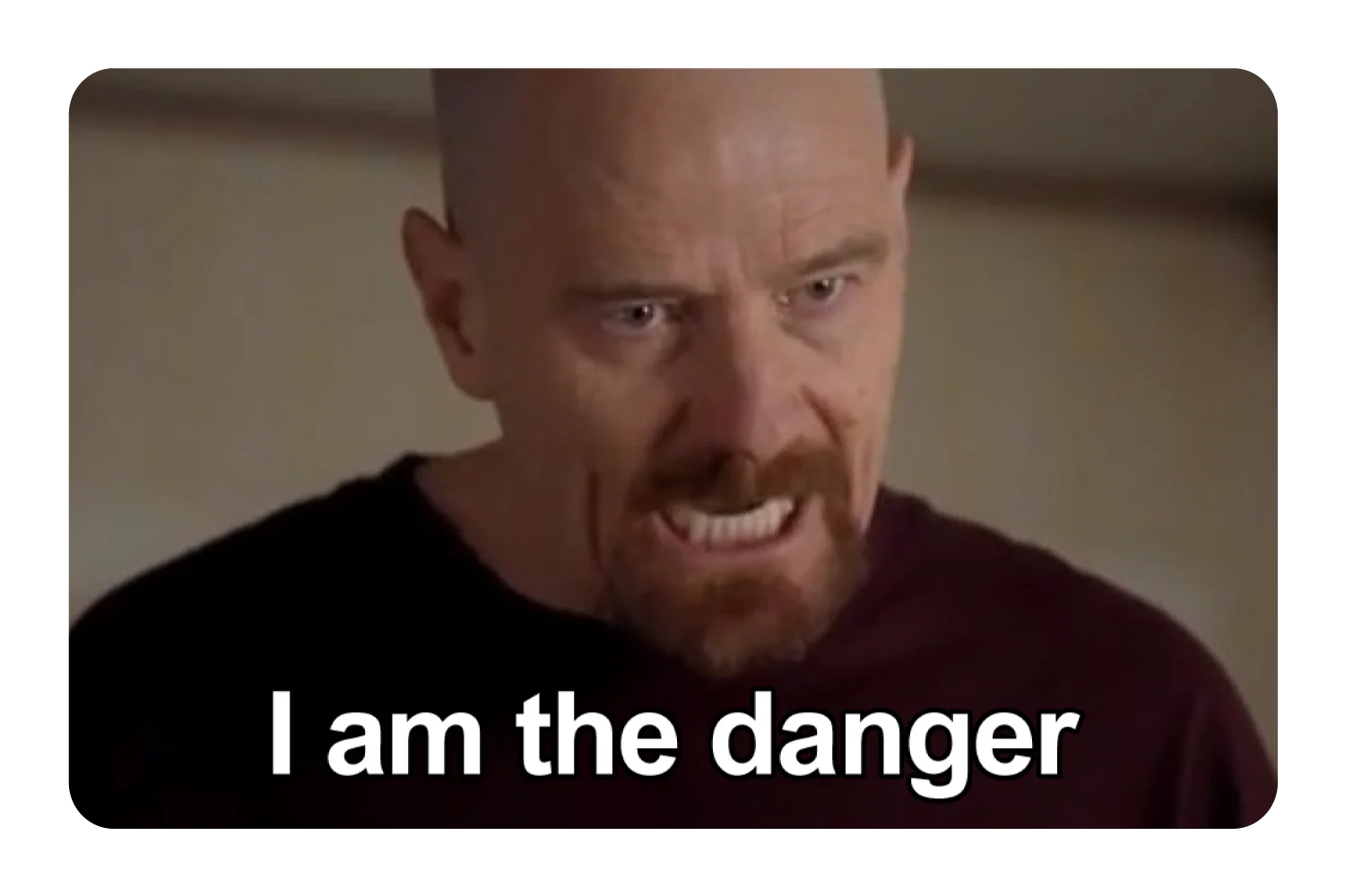 I Am The Danger
