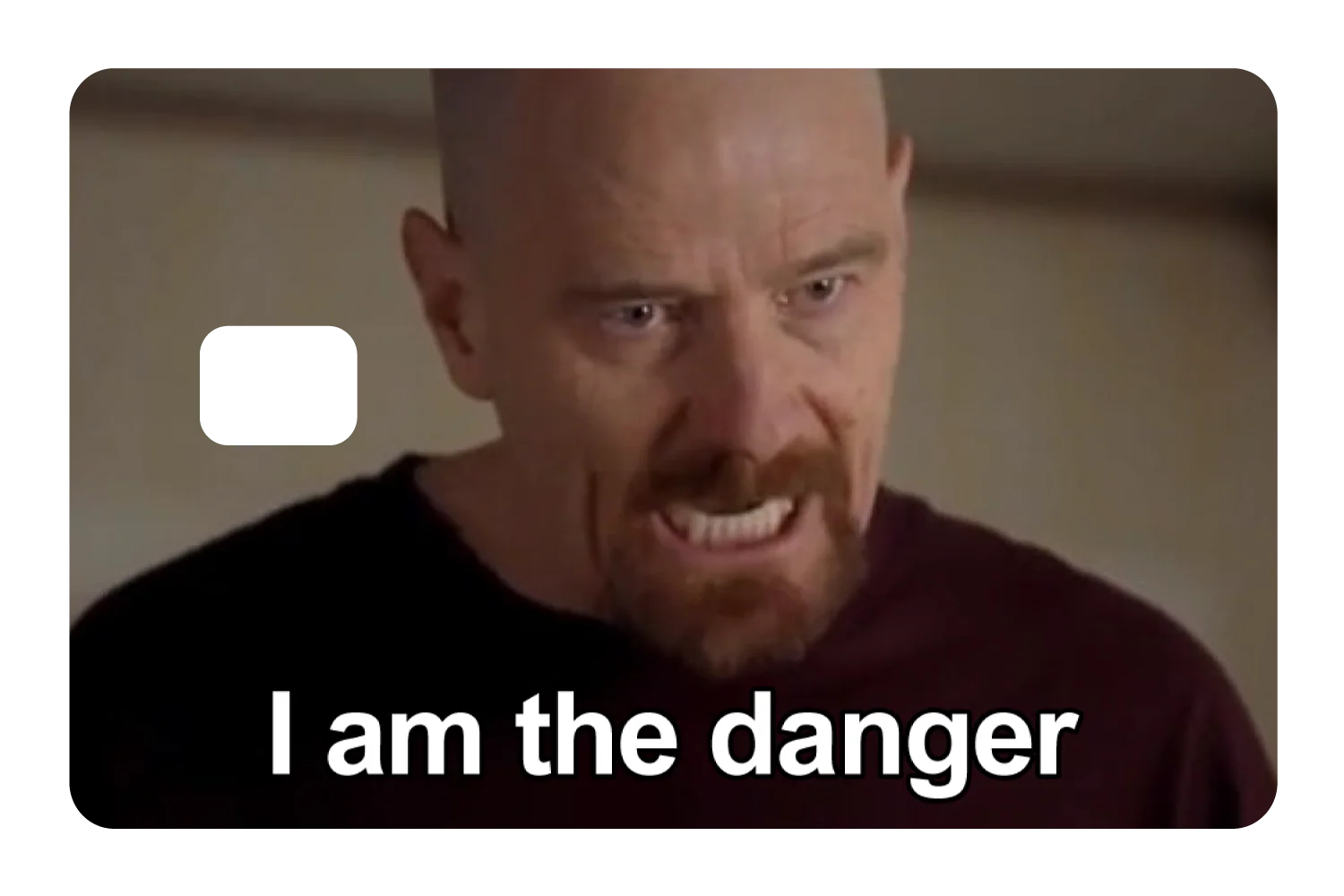 I Am The Danger - Image 2