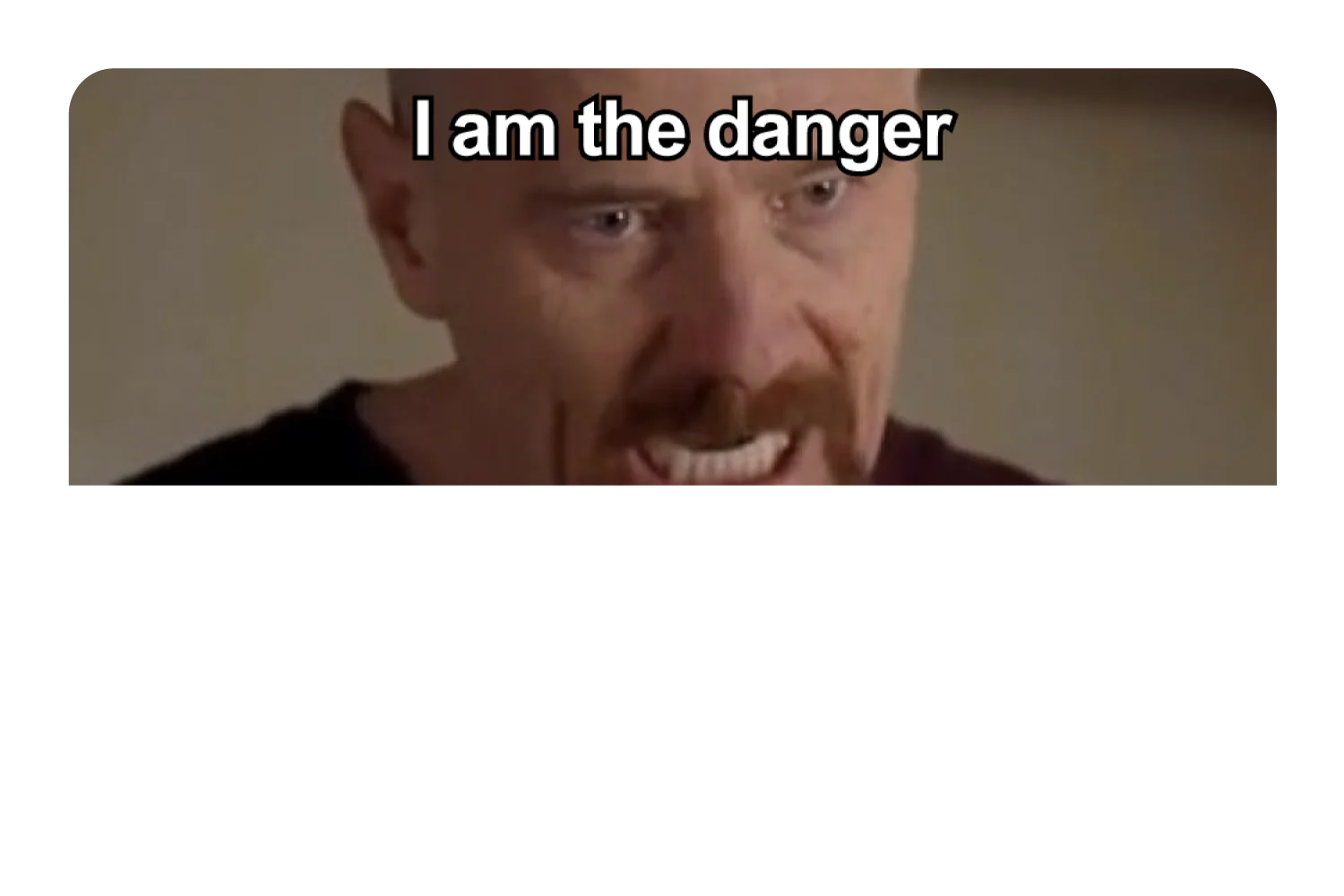 I Am The Danger - Image 9