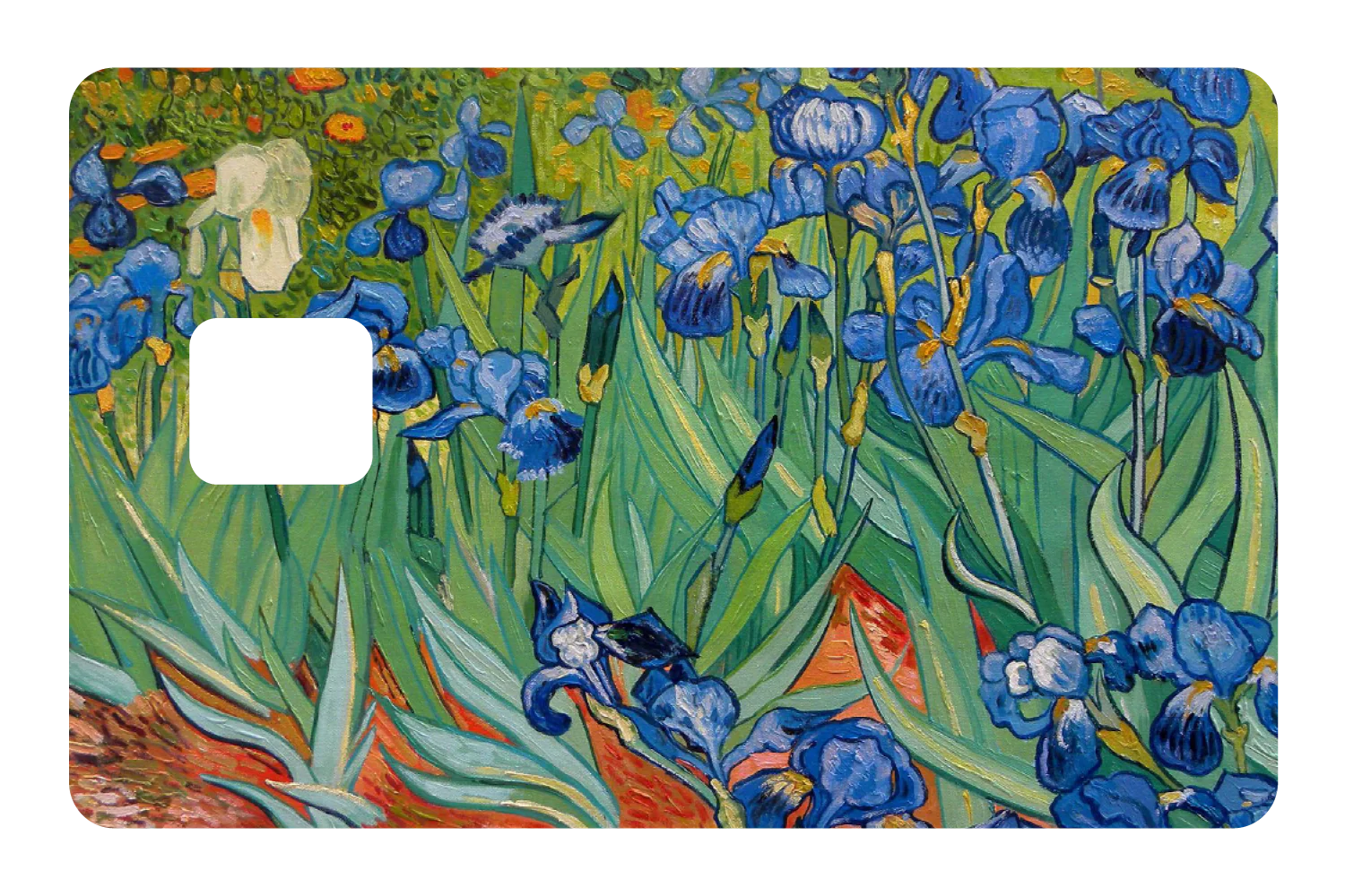 Irises - Image 3