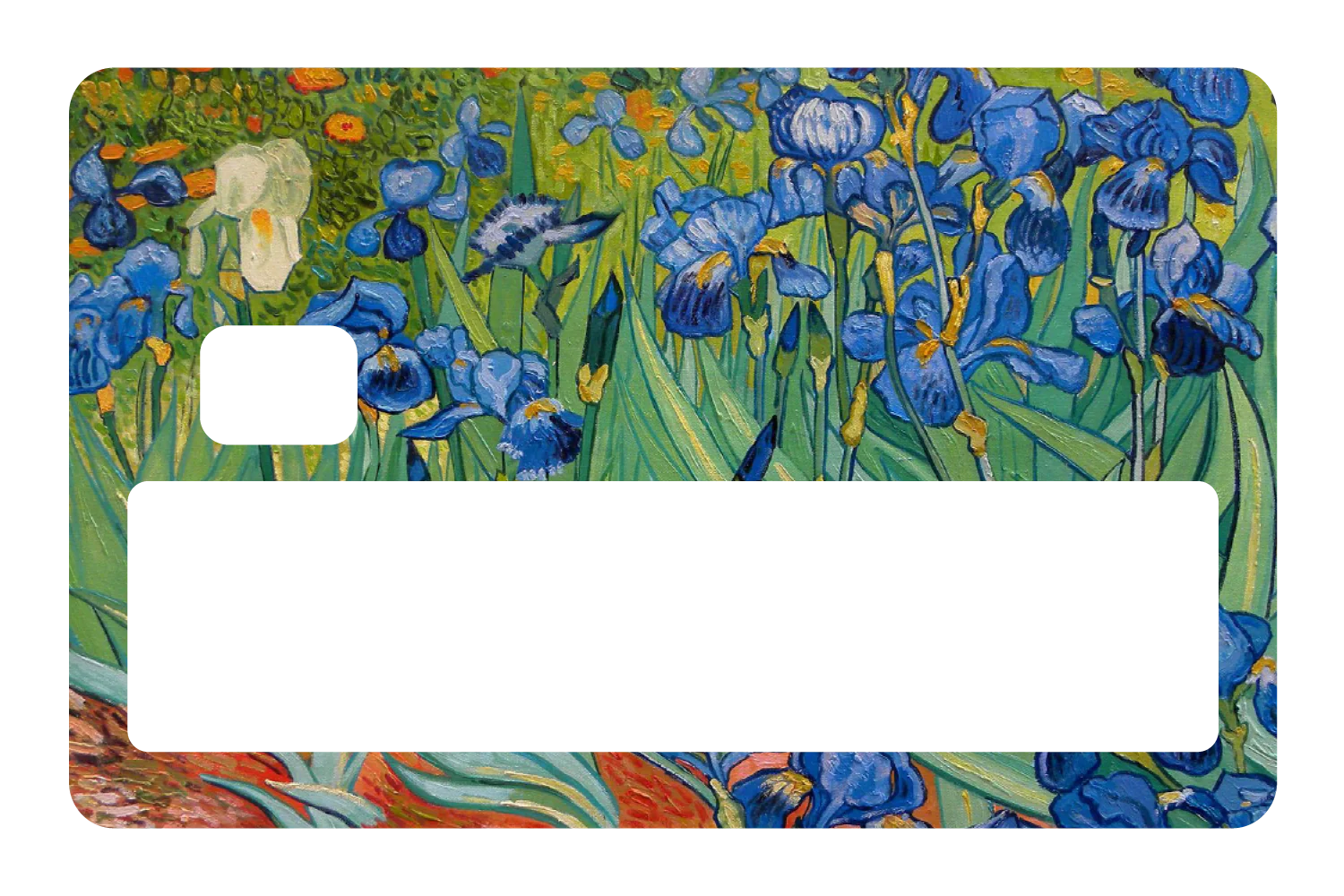 Irises - Image 5