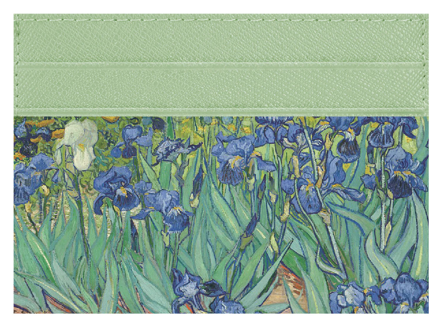 Irises