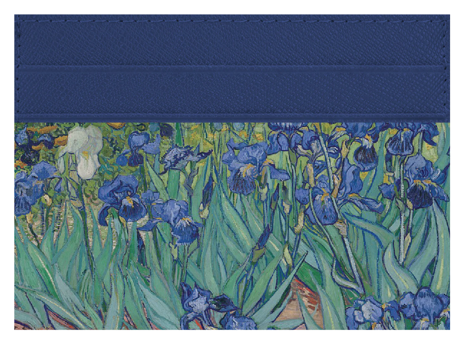 Irises - Image 2
