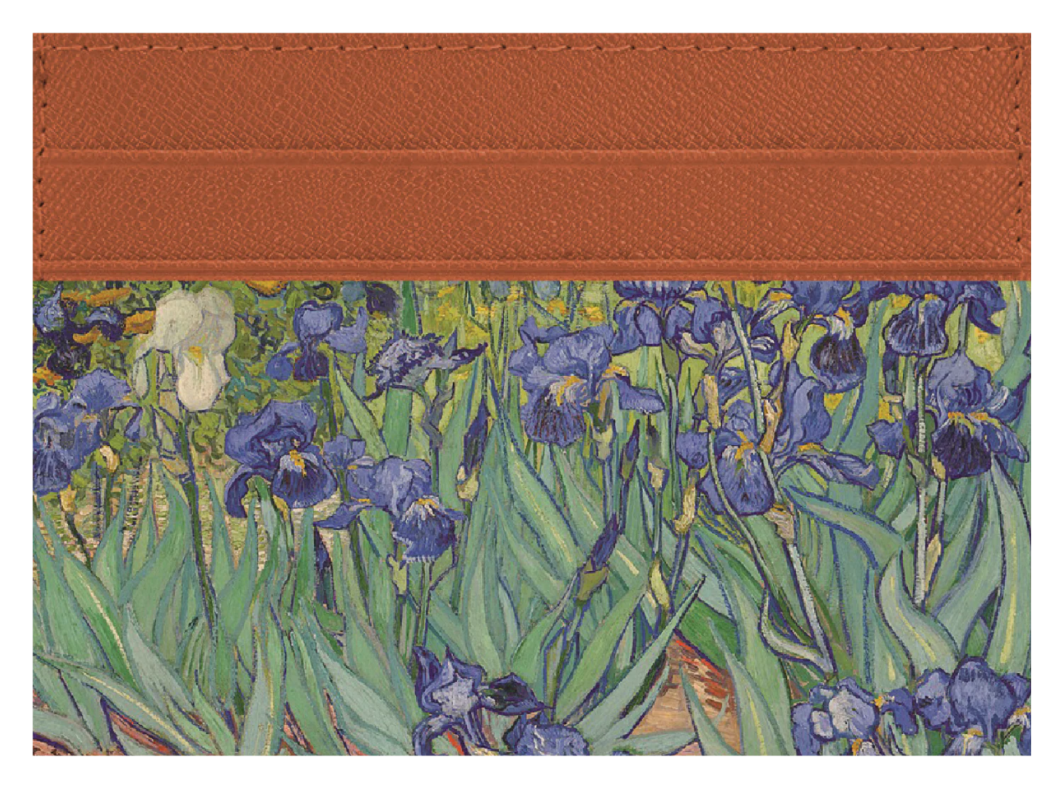 Irises - Image 3
