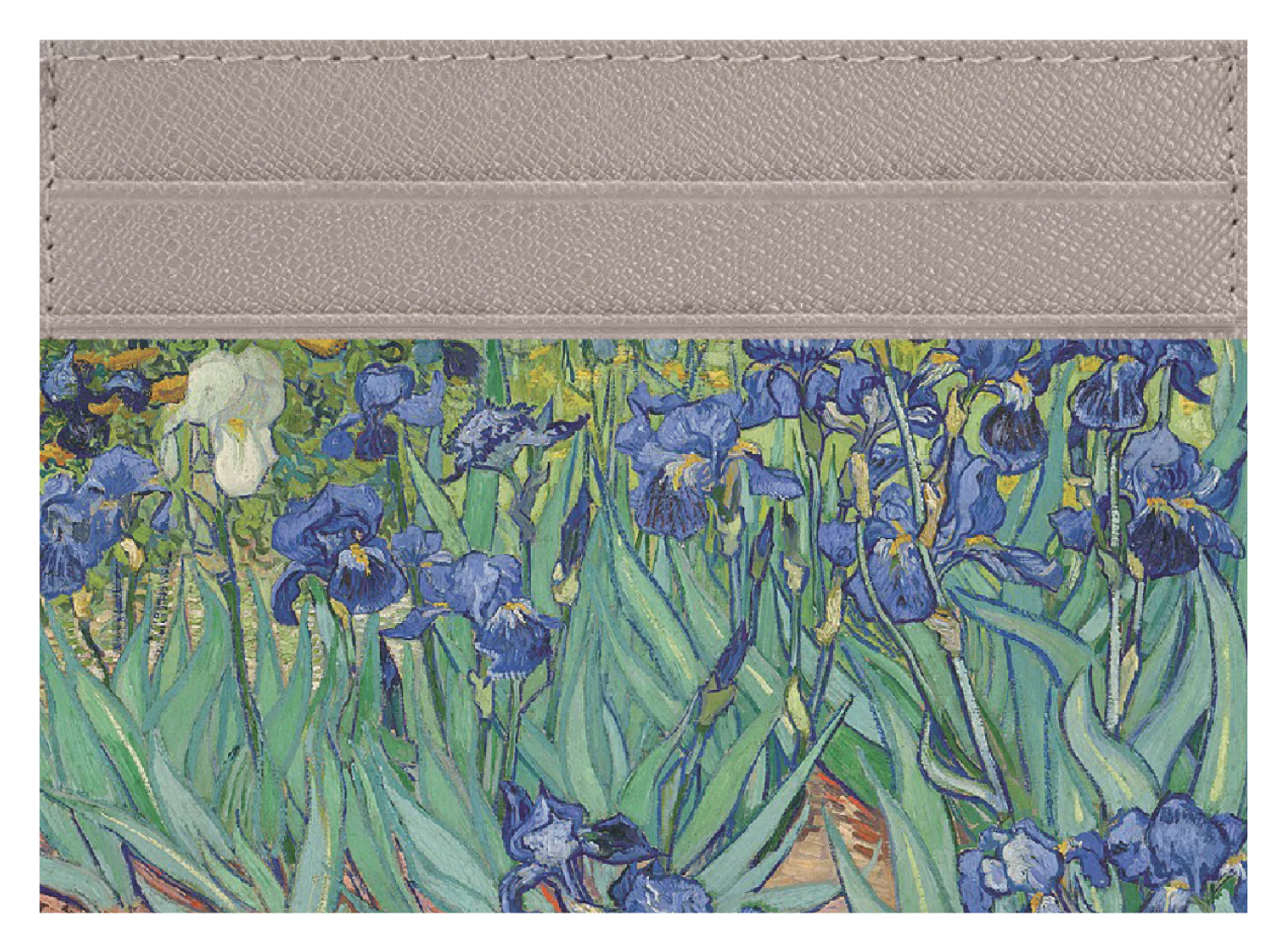 Irises - Image 4