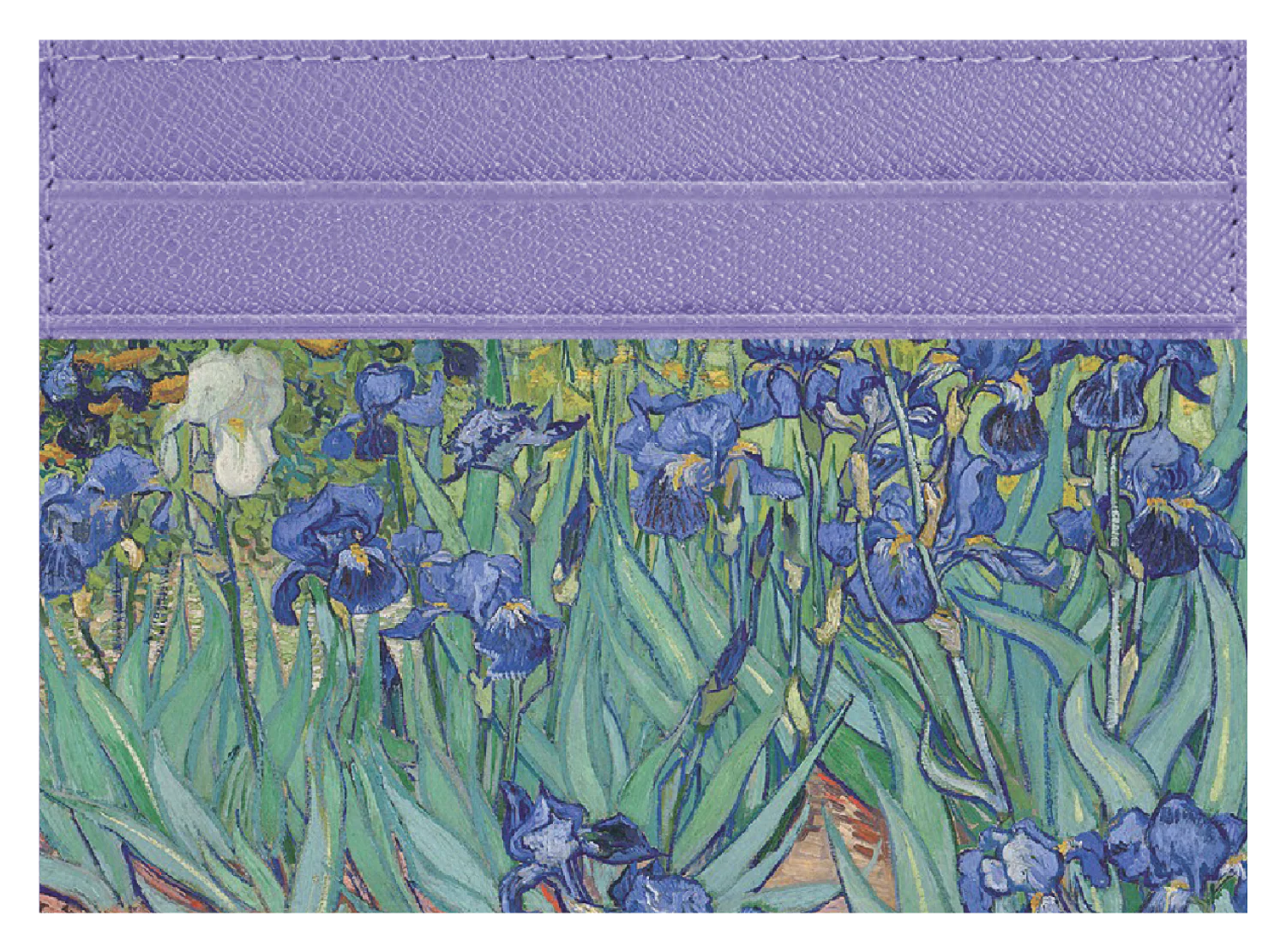 Irises - Image 8