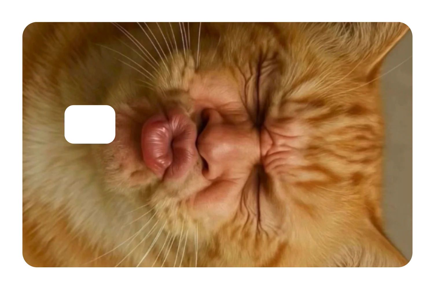 Kissy Cat - Image 2