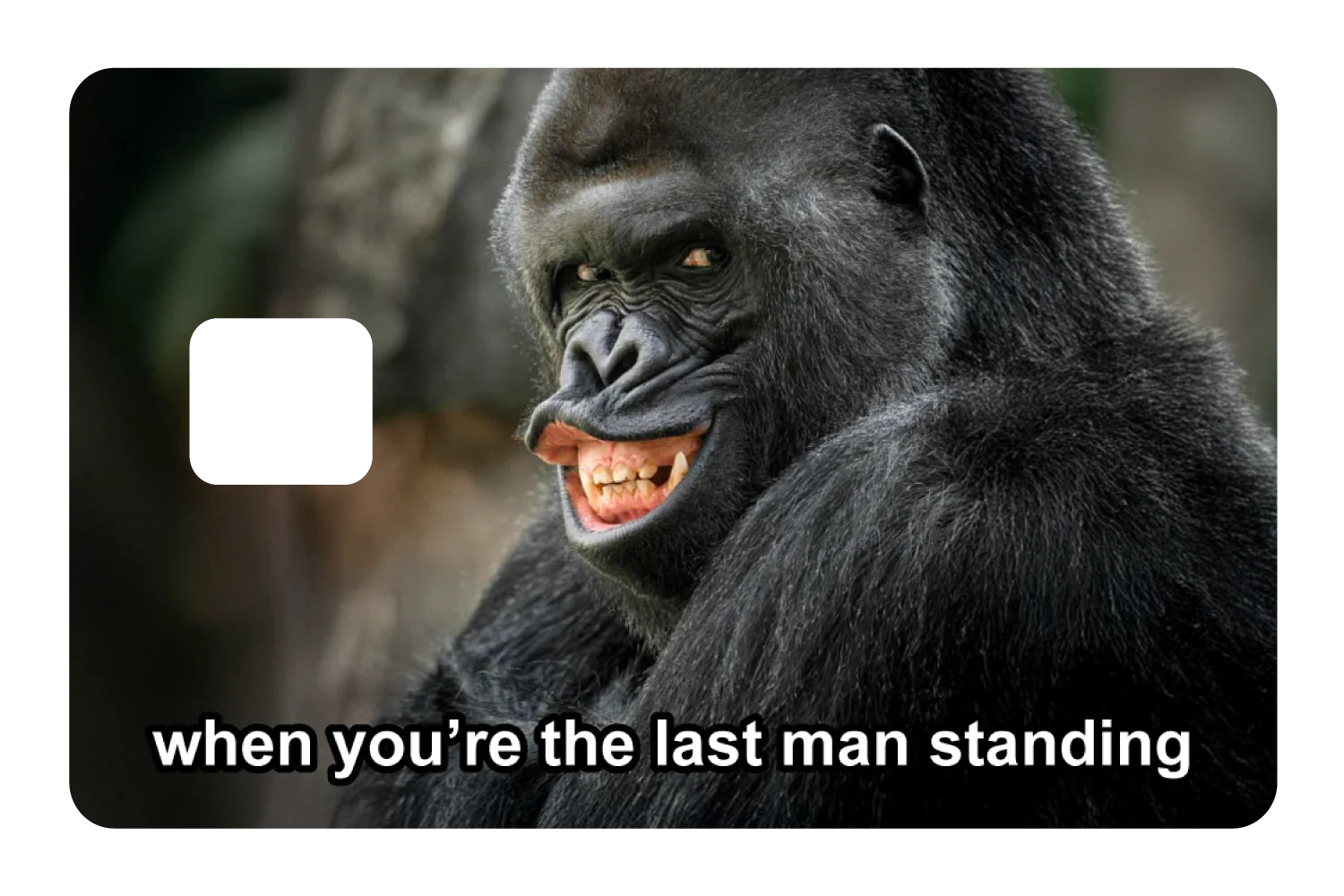 Last Man Standing - Image 3