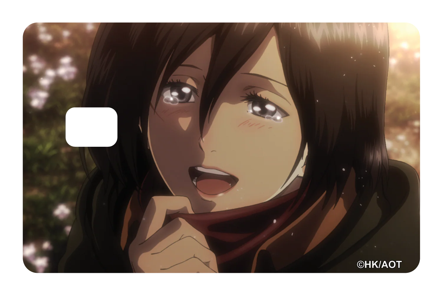 Mikasa - Image 2