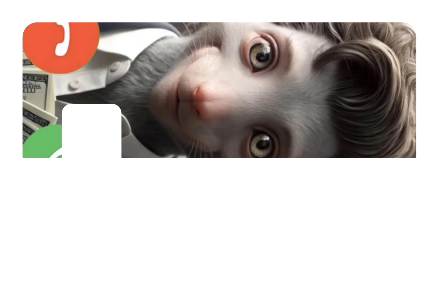 Mouse Pay - Image 7