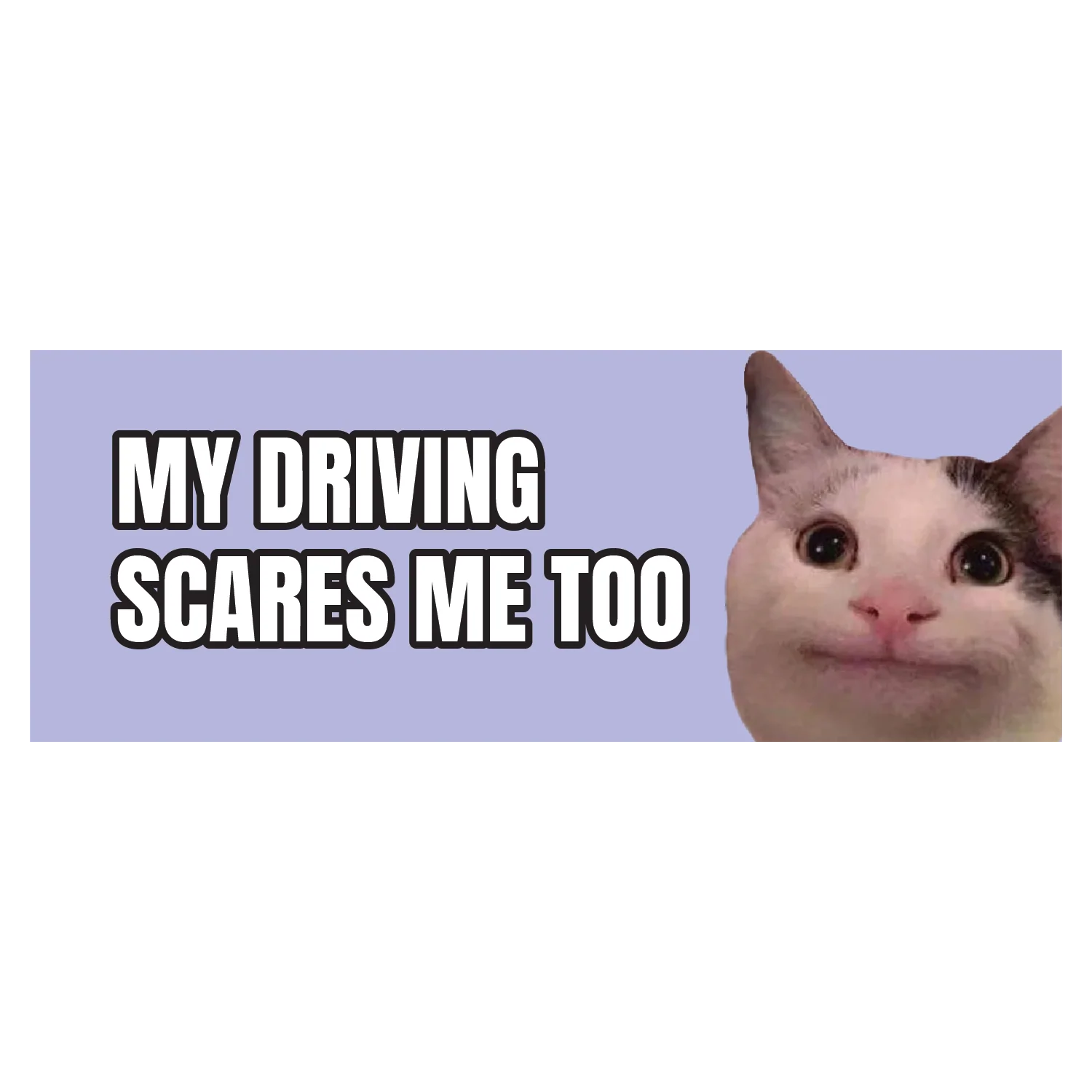 My Driving Scares Me Too Cat