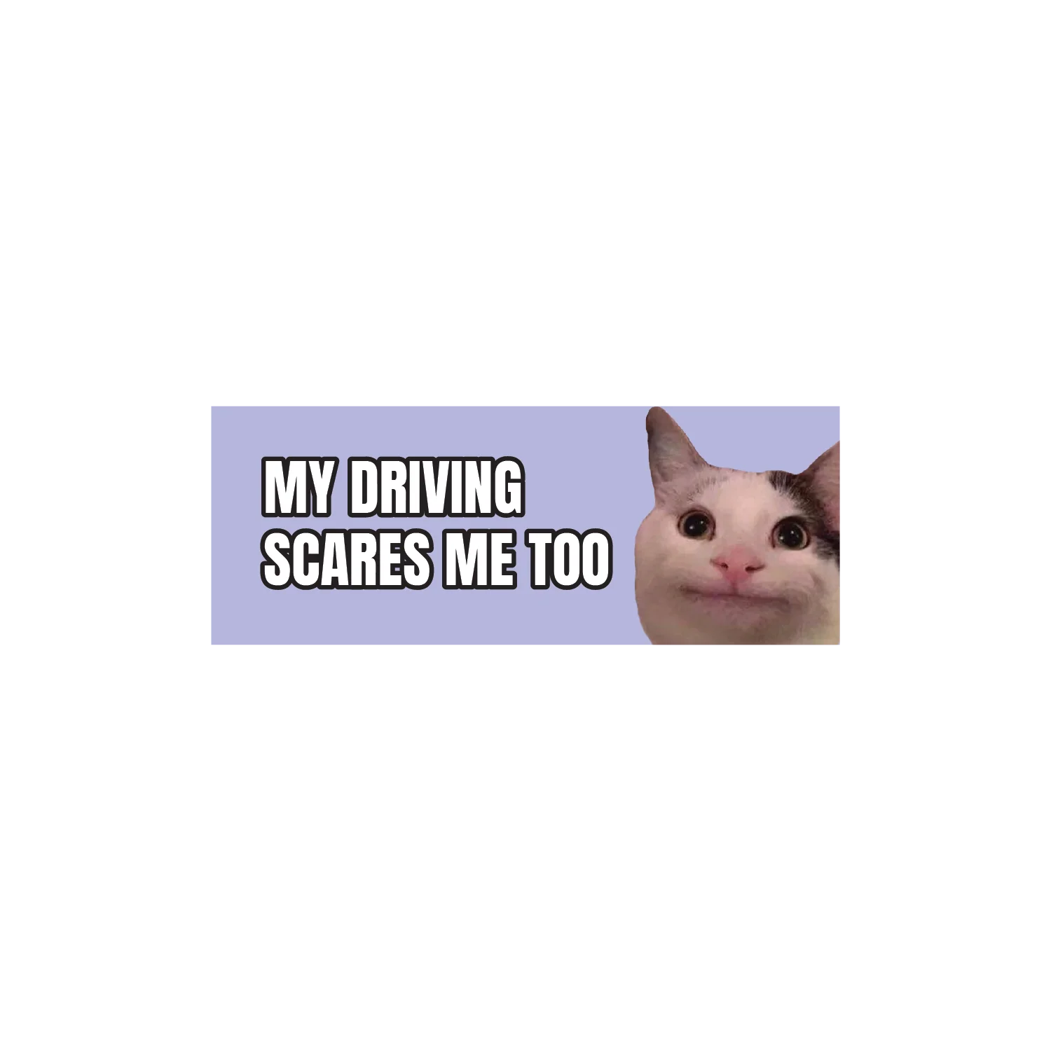 My Driving Scares Me Too Cat - Image 2