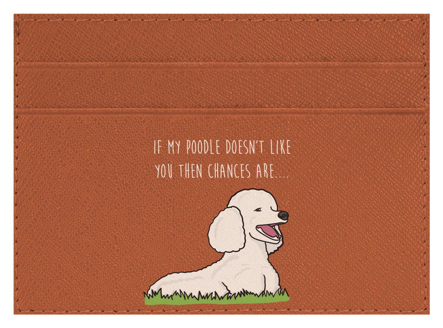 My Poodle don't like you - Image 2