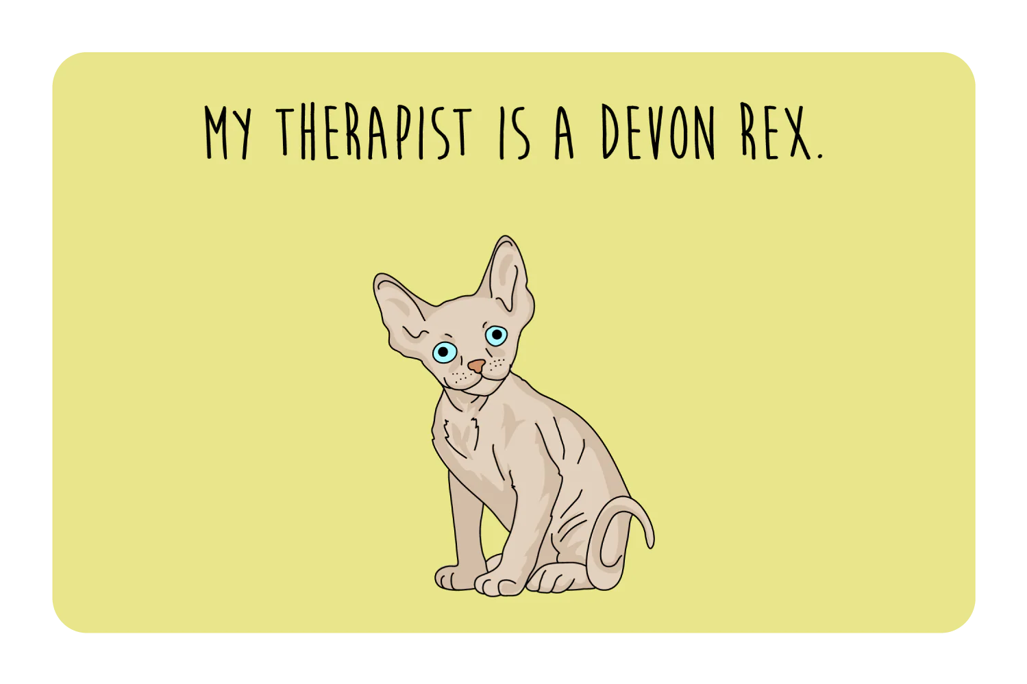 My therapist is a Devon Rex