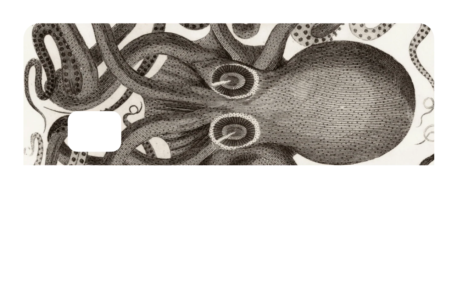 Octo - Image 8
