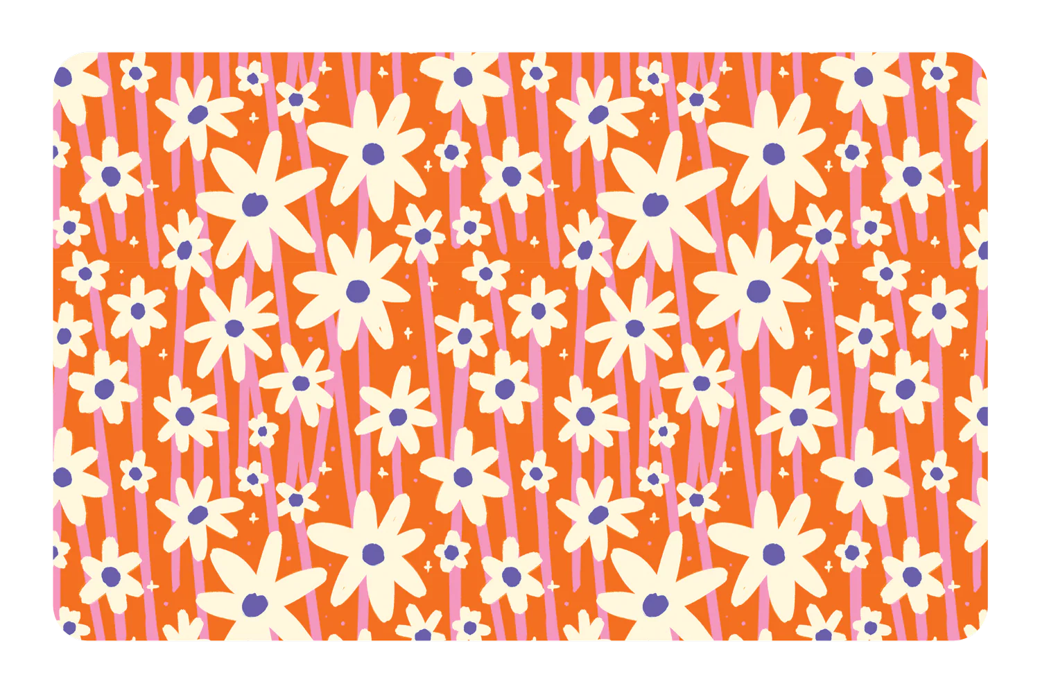 Orange Daisies