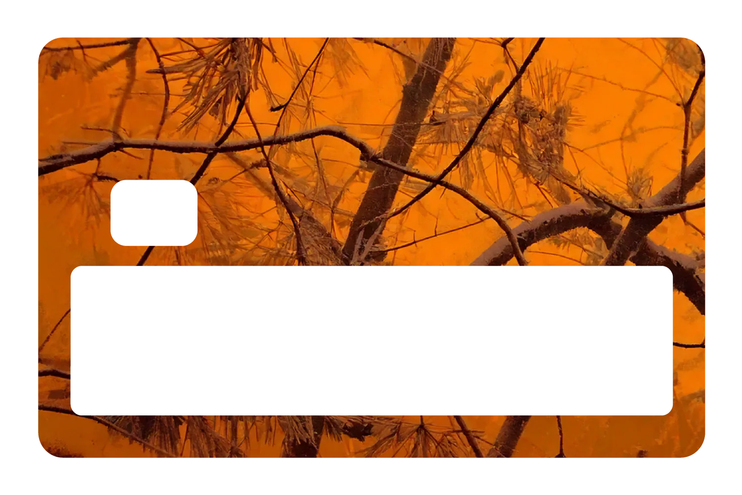 Orange Forest - Image 5
