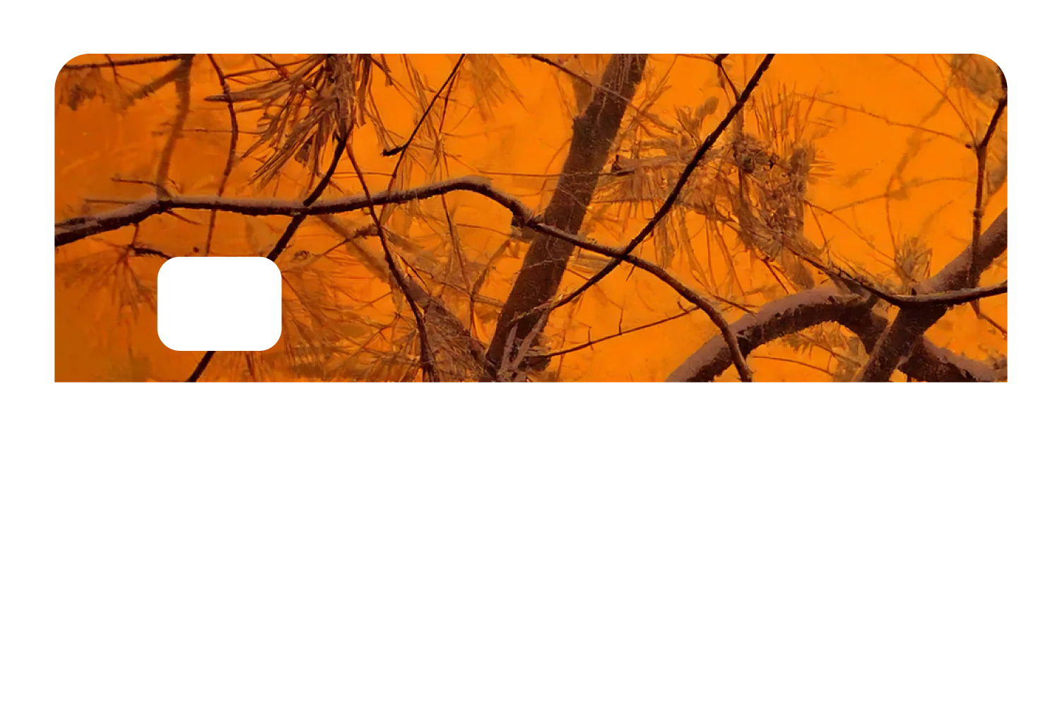 Orange Forest - Image 8