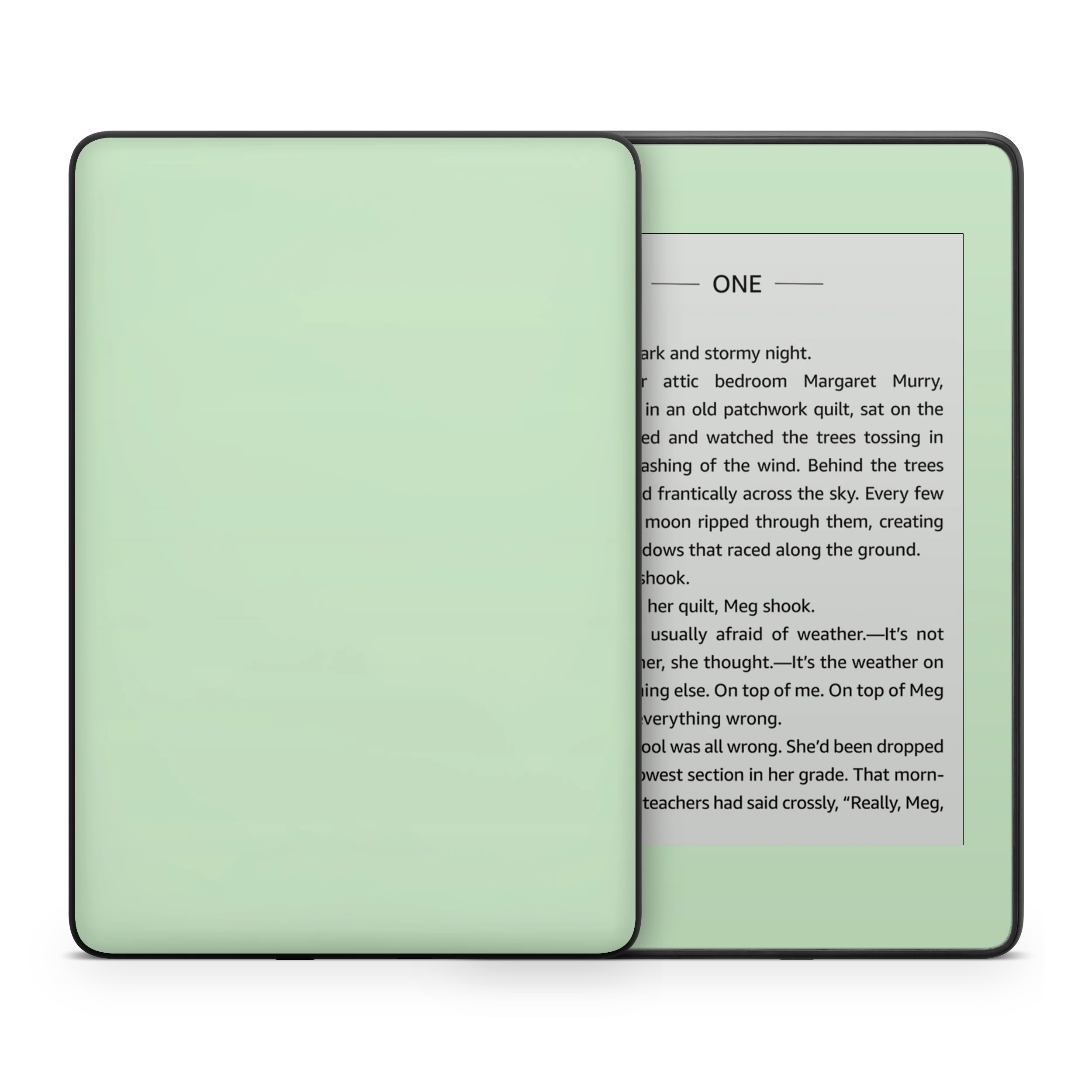 Pale Mint Kindle eReader Skin - Image 3