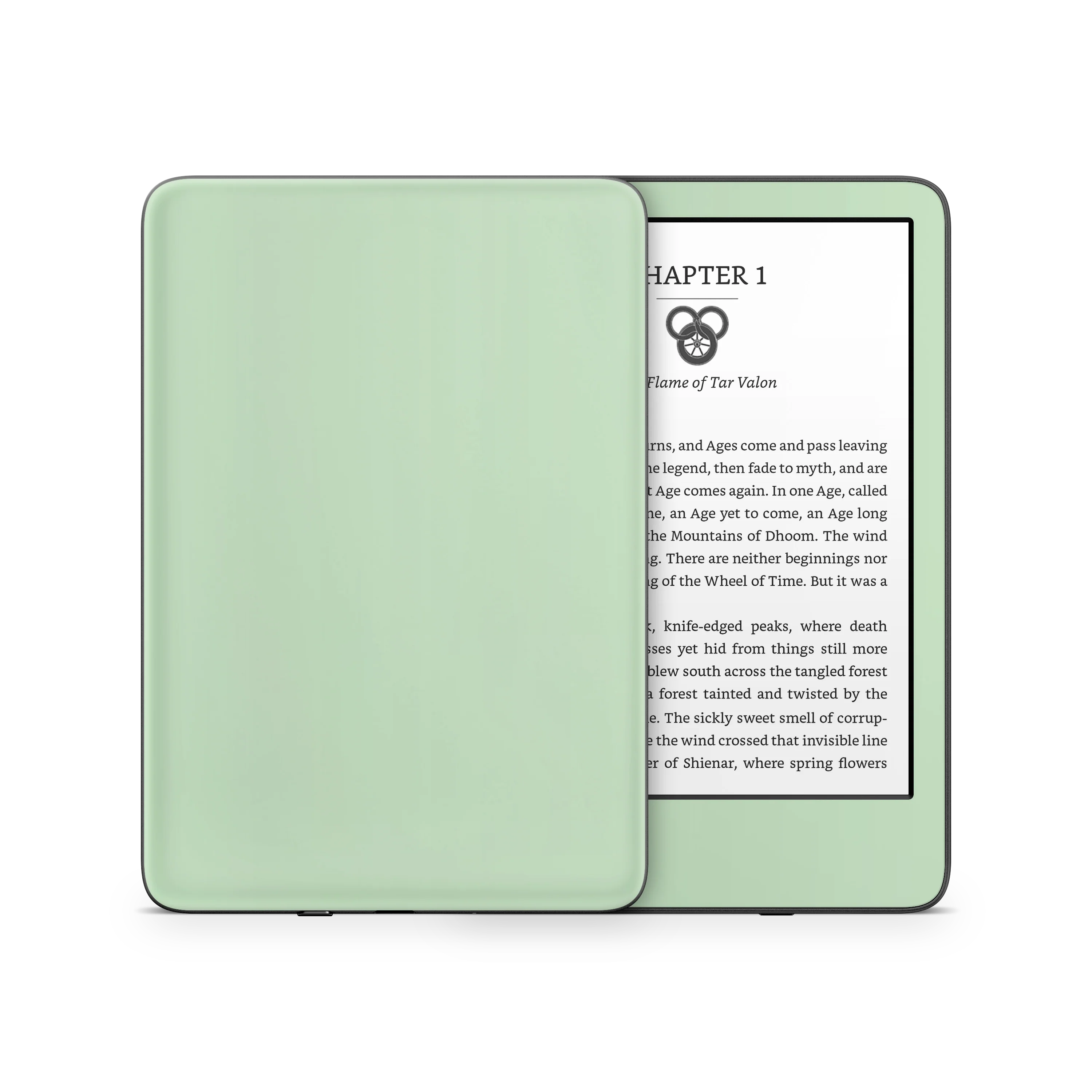 Pale Mint Kindle eReader Skin - Image 6