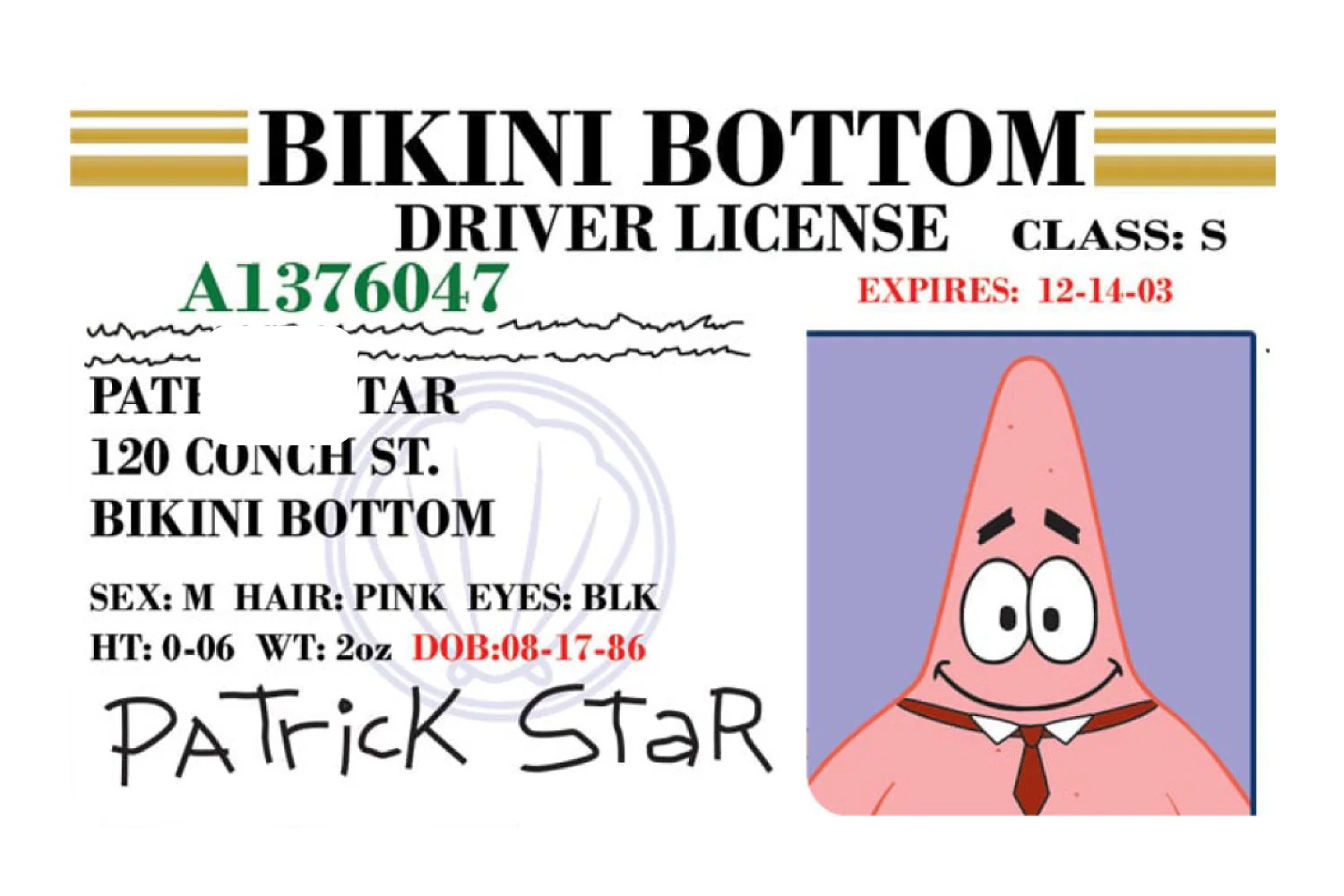 Patrick License - Image 2
