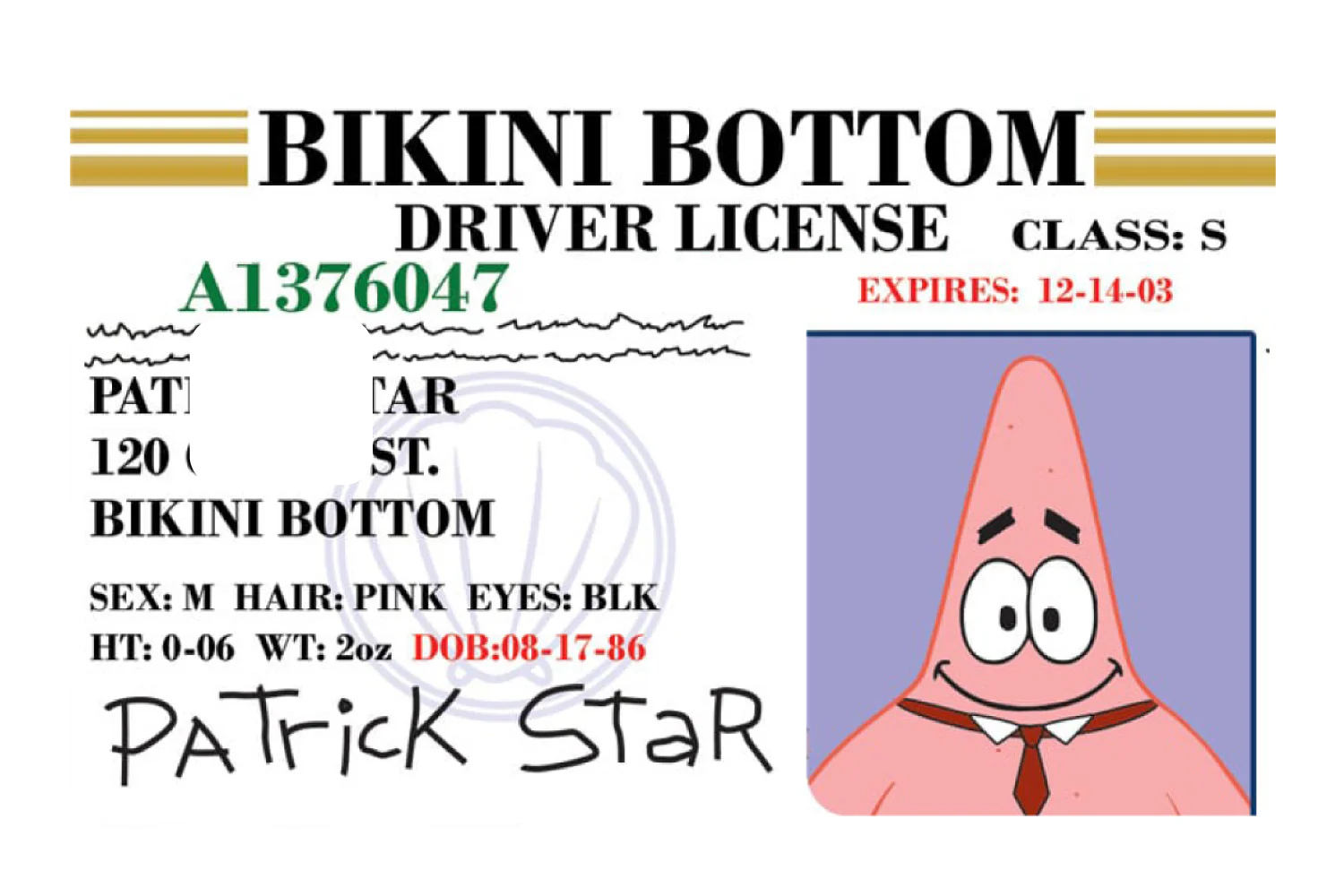 Patrick License - Image 3