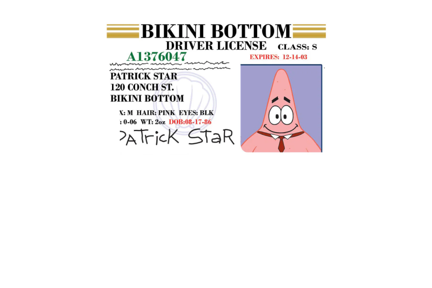 Patrick License - Image 4